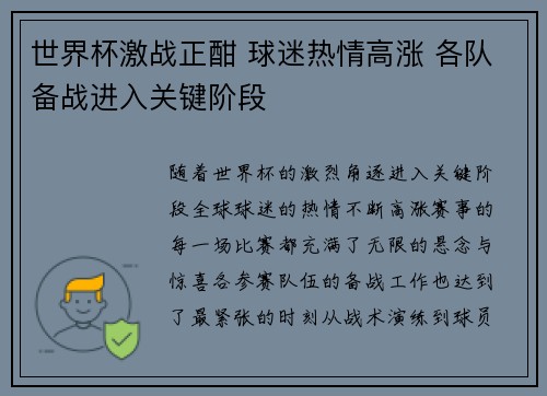 世界杯激战正酣 球迷热情高涨 各队备战进入关键阶段