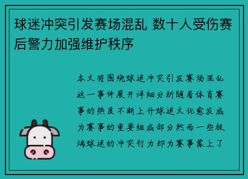 球迷冲突引发赛场混乱 数十人受伤赛后警力加强维护秩序
