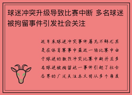 球迷冲突升级导致比赛中断 多名球迷被拘留事件引发社会关注